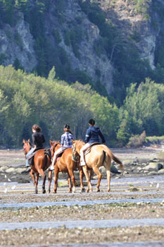 Activité florissante